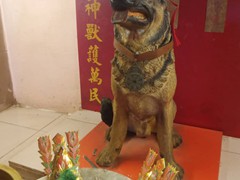 WhatsApp Image 2019-10-24 at 12.27.53